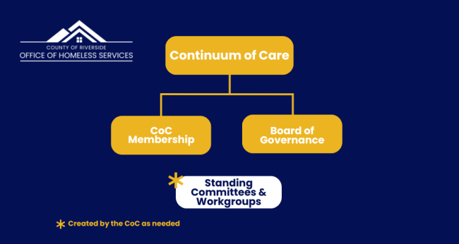 Governance structure